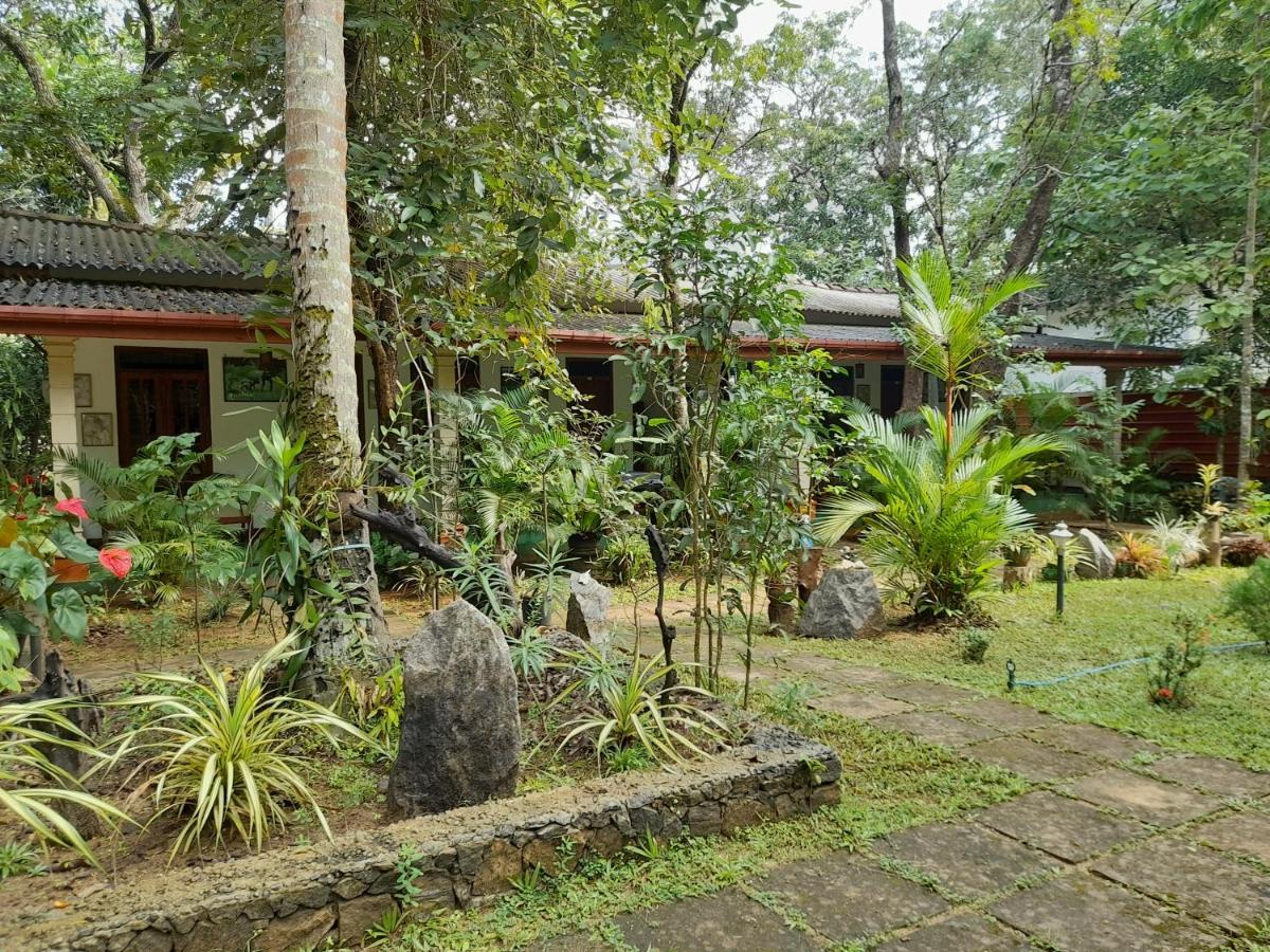 Sigiri Jungle Villa Szigirija Kültér fotó