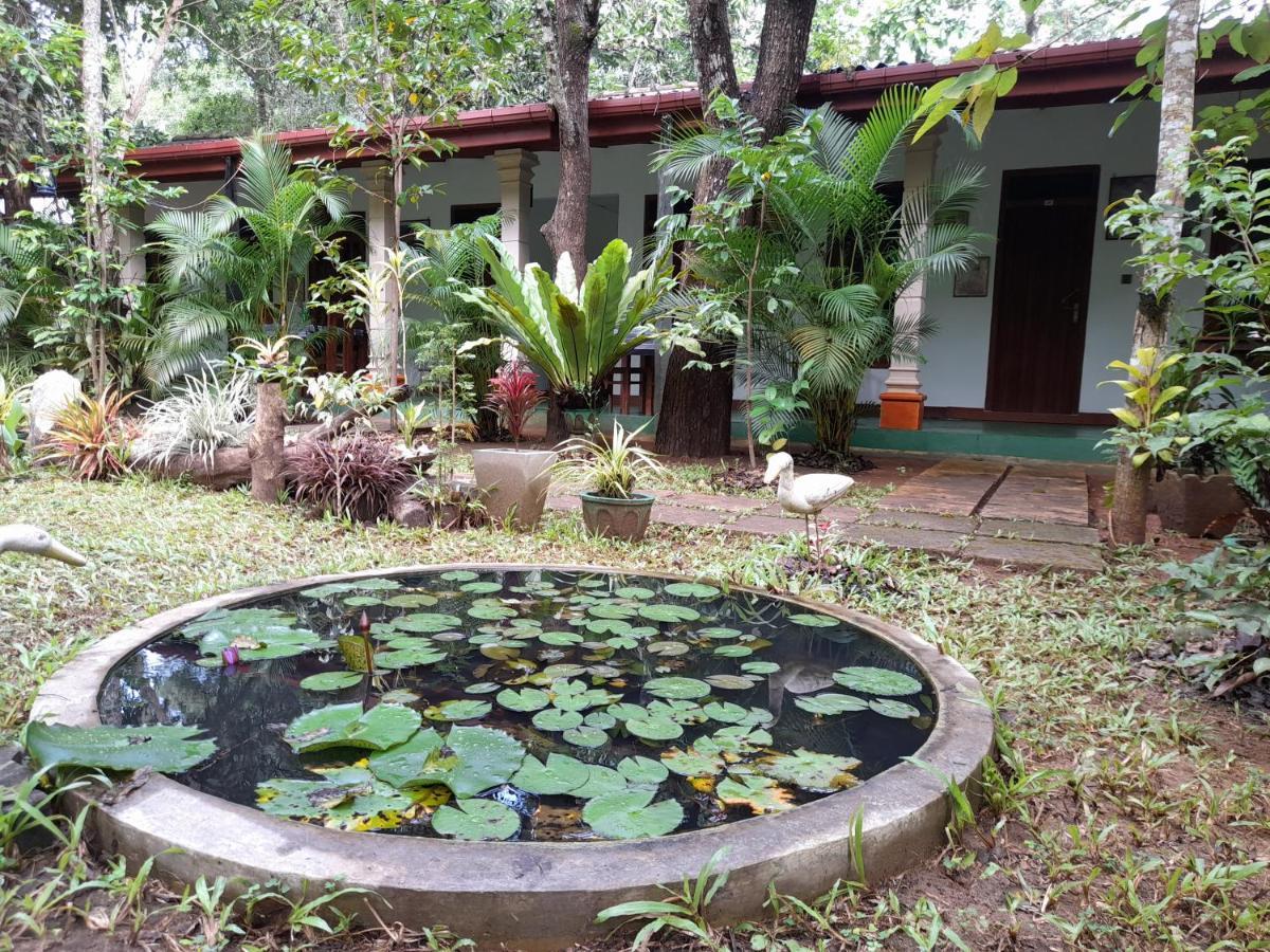 Sigiri Jungle Villa Szigirija Kültér fotó