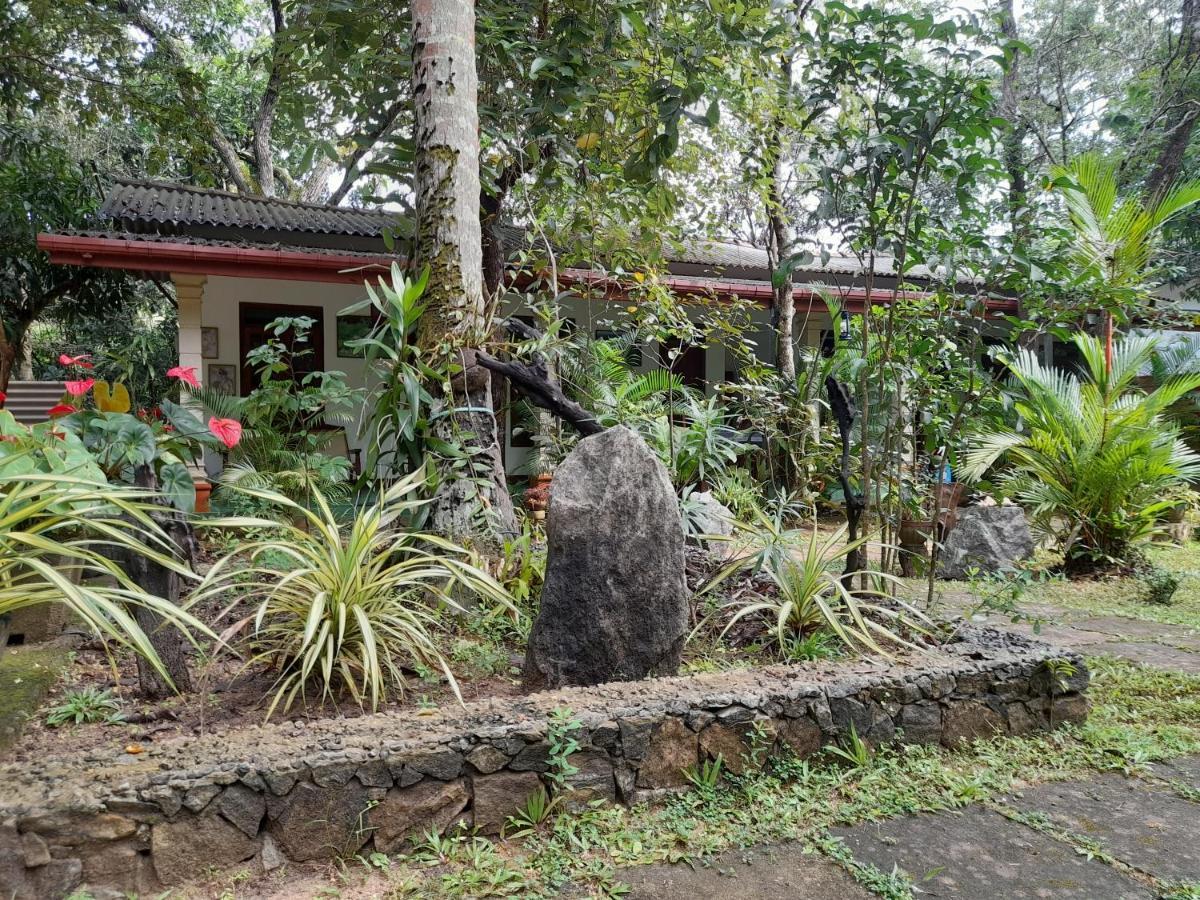Sigiri Jungle Villa Szigirija Kültér fotó