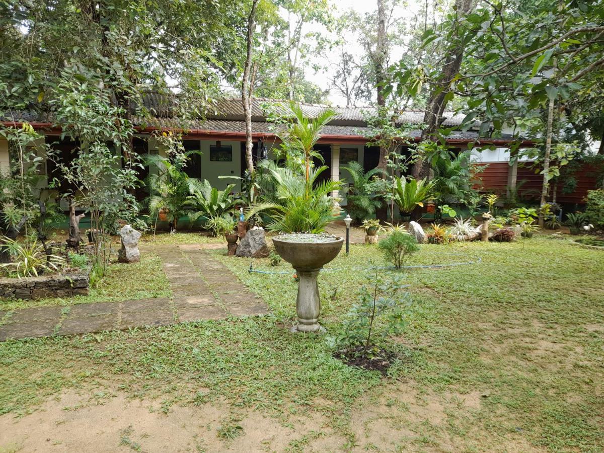 Sigiri Jungle Villa Szigirija Kültér fotó