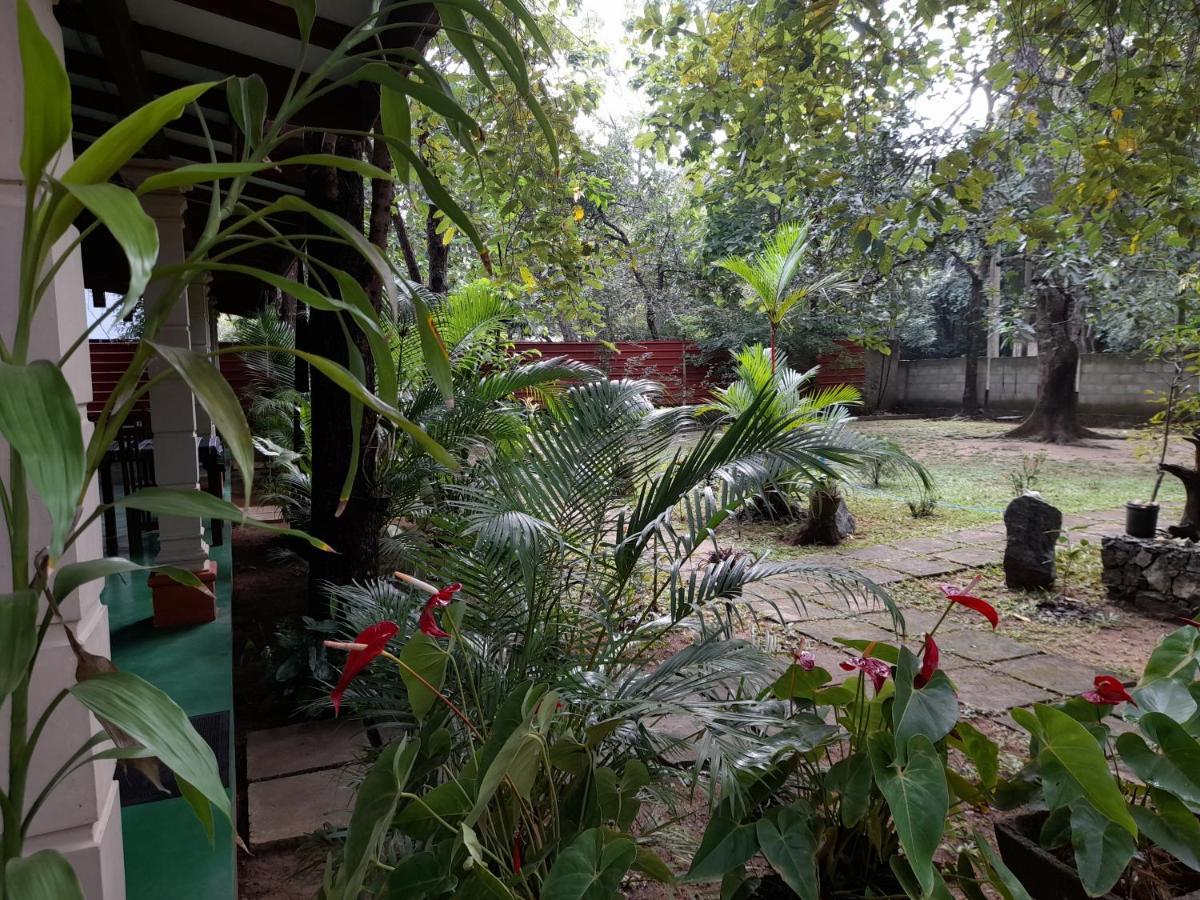 Sigiri Jungle Villa Szigirija Kültér fotó